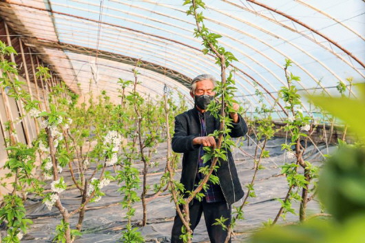 銅城復(fù)蘇：春光明媚，邀你共賞芳華（組圖）