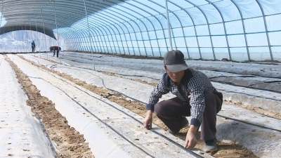 榆中縣扶貧產業(yè)讓村民持續(xù)增收