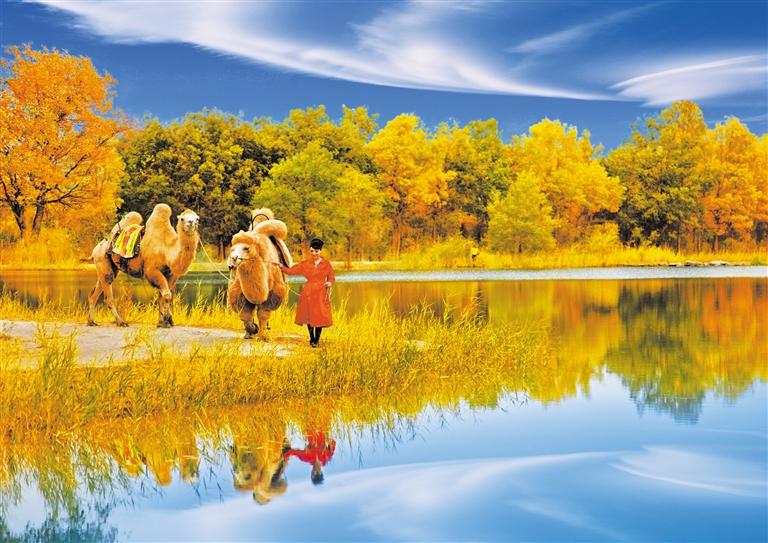 國慶長(zhǎng)假，去金塔遇見最美胡楊