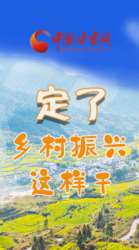 圖解|定了！全面推進(jìn)鄉(xiāng)村振興這樣干！