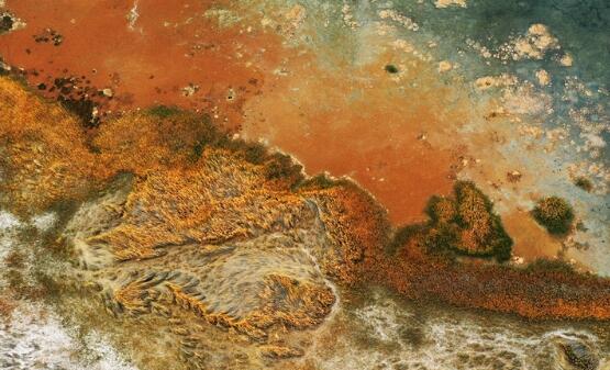 【“飛閱”中國(guó)】航拍明塘湖濕地：“煙霞火?！彼仆庑乔?>
        </a><em>【“飛閱”中國(guó)】航拍明塘湖濕地：“煙霞火海”似外星球</em></li>

                </ul>
            </div>
            <!-- public platform -->
            <div   id=