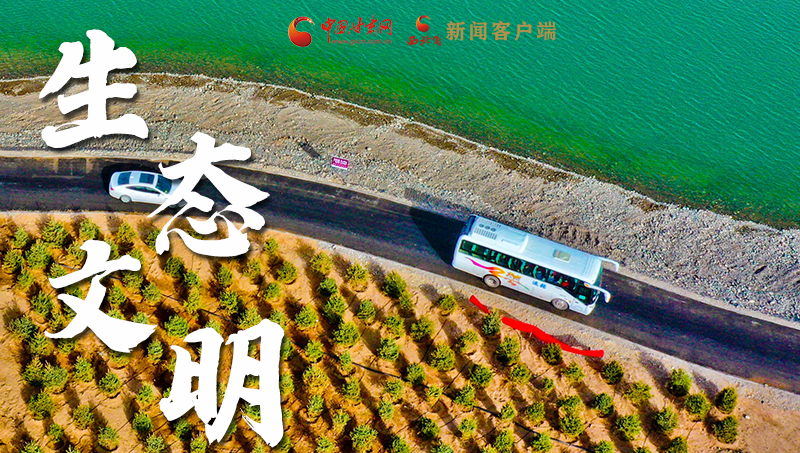 彈幕海報丨熱議甘肅省委十三屆十六次全會 網(wǎng)民聲音在回響！