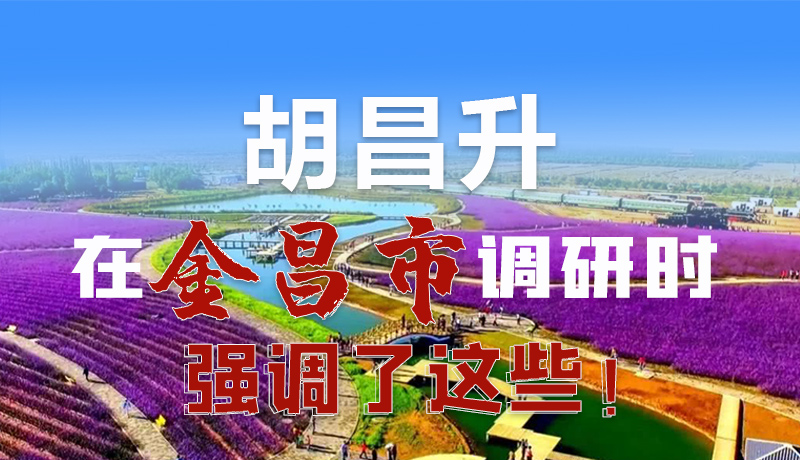 圖解|胡昌升在金昌市調(diào)研時強(qiáng)調(diào)了這些！