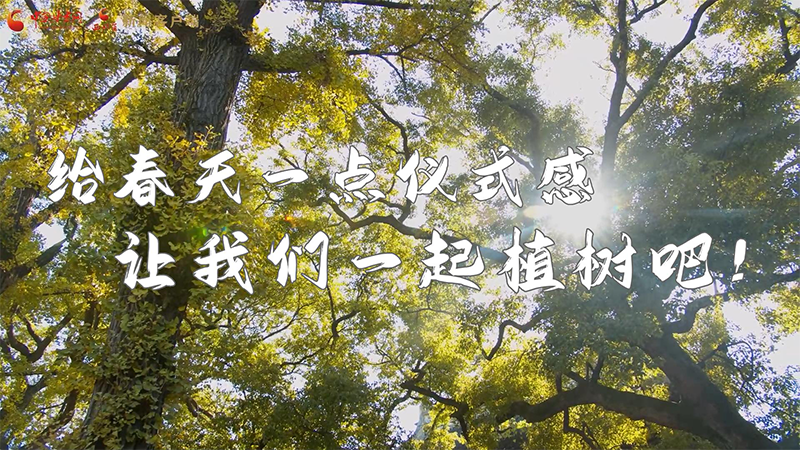 短視頻|給春天一點儀式感，讓我們一起植樹吧！