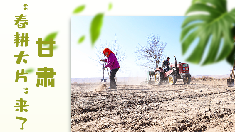【甘快看】海報|瞧！甘肅“春耕大片”來了