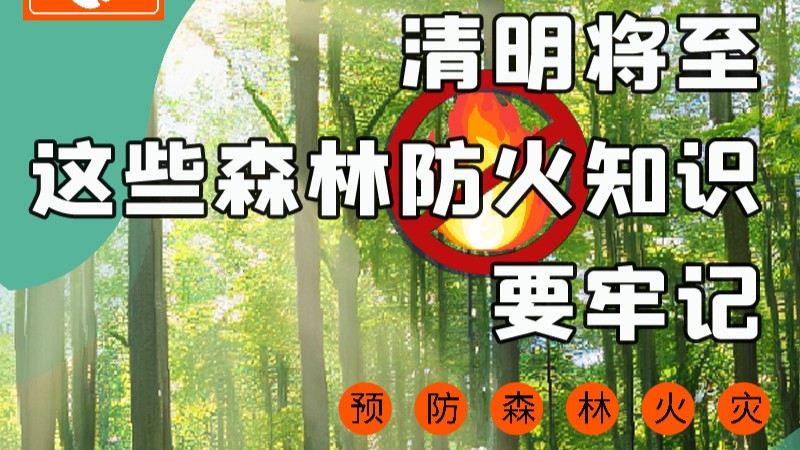 【甘快看】圖解|緊繃“安全弦”！清明，這些森林防火知識要牢記