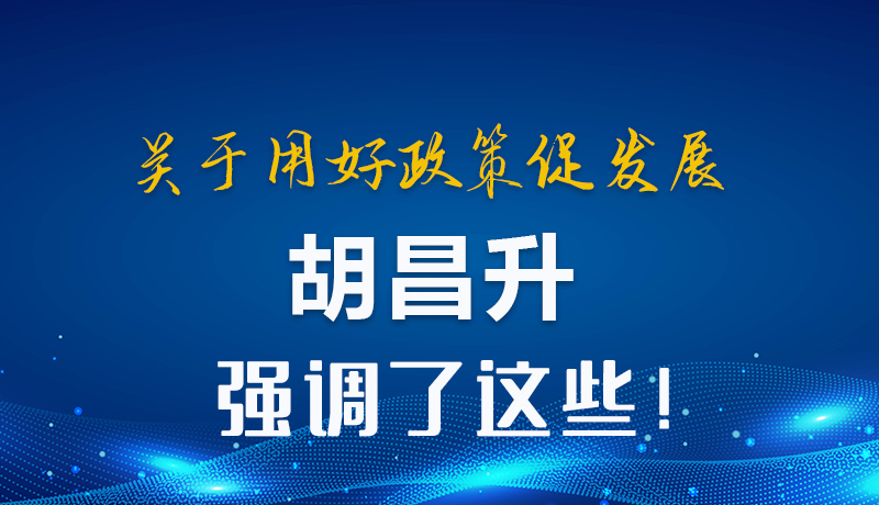 圖解|關(guān)于用好政策促發(fā)展 胡昌升強調(diào)了這些！