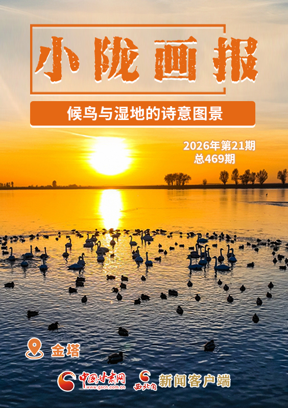 【小隴畫報·469期】金塔：候鳥與濕地的詩意圖景